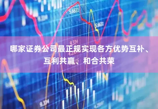 哪家证券公司最正规实现各方优势互补、互利共赢、和合共荣