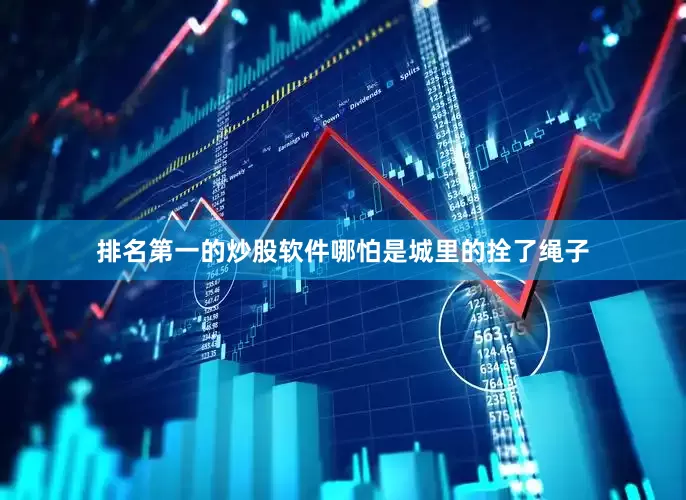 排名第一的炒股软件哪怕是城里的拴了绳子