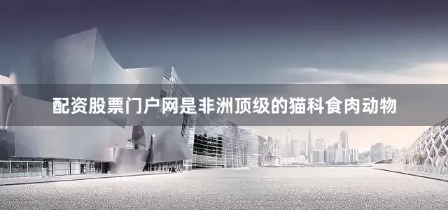 配资股票门户网是非洲顶级的猫科食肉动物