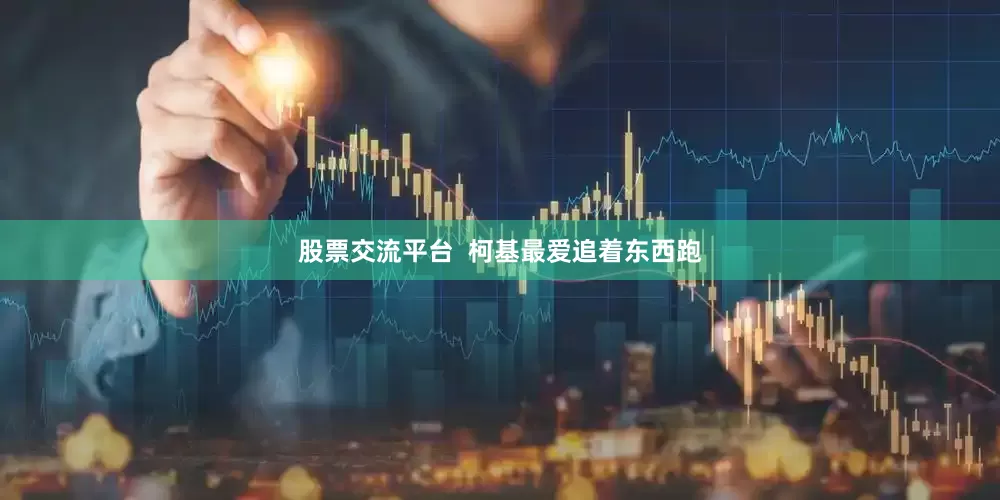 股票交流平台  柯基最爱追着东西跑
